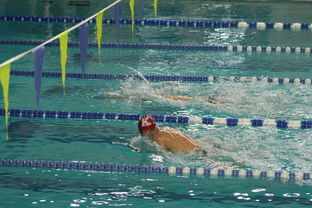 星空体育最新版-“2025世界游泳锦标赛：水上芭蕾展现不一样的艺术魅力”  第3张